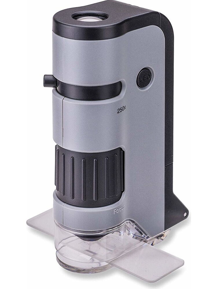 Carson MP250 Led Işıklı Cep Mikroskobu