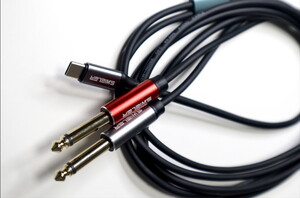S.Wieler SC2M-2M Type-C - 2x6.3mm Mono Kablo 2m #2